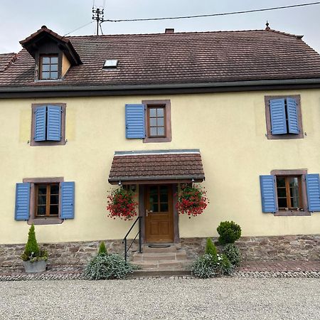 Gite La Maison De Jules Muntzenheim Esterno foto