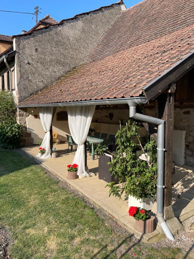 Gite La Maison De Jules Muntzenheim Esterno foto